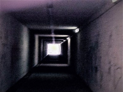 393702_242823662440532_770629923_n.jpg