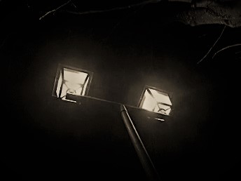 16807427_1331911546865066_1778080886612848114_n (2).jpg